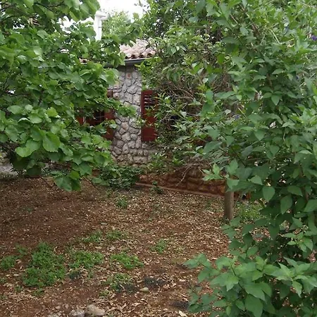 Renata A2 Veli Losinj