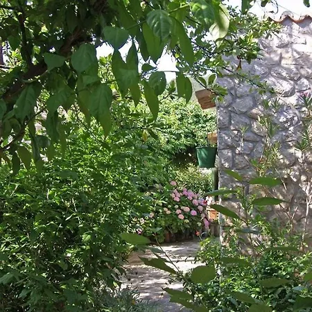 Renata A2 Apartman