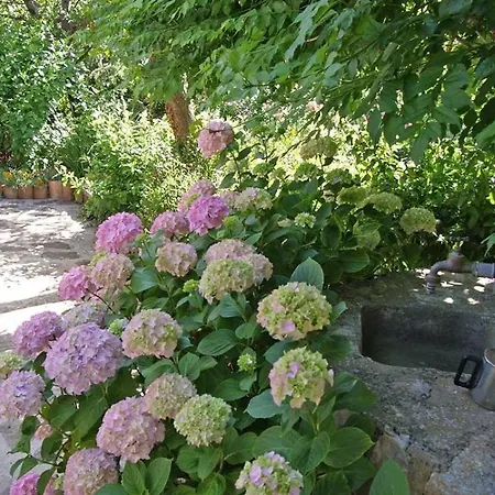 Apartament Renata A2 Veli Lošinj