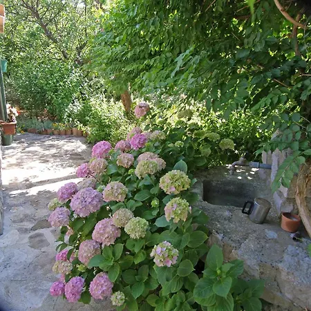 Apartament Renata A2